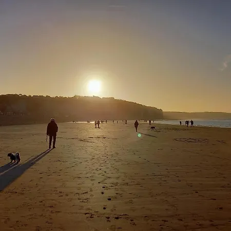 Curiosités, Place De Parking Privative, Centre Appartement